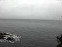 ./images/koeye/fitz-hugh/20150106/fitz-hugh20150106_100301.jpg