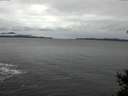 ./images/koeye/fitz-hugh/20150106/fitz-hugh20150106_122102.jpg