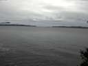 ./images/koeye/fitz-hugh/20150106/fitz-hugh20150106_122703.jpg