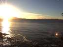 ./images/koeye/fitz-hugh/20150107/fitz-hugh20150107_160303.jpg