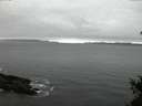 ./images/koeye/fitz-hugh/20150110/fitz-hugh20150110_080302.jpg