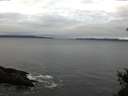 ./images/koeye/fitz-hugh/20150110/fitz-hugh20150110_100302.jpg