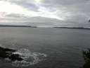 ./images/koeye/fitz-hugh/20150110/fitz-hugh20150110_120302.jpg