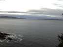 ./images/koeye/fitz-hugh/20150112/fitz-hugh20150112_080302.jpg