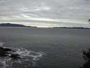 ./images/koeye/fitz-hugh/20150112/fitz-hugh20150112_160303.jpg