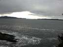 ./images/koeye/fitz-hugh/20150113/fitz-hugh20150113_140301.jpg