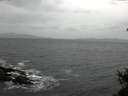 ./images/koeye/fitz-hugh/20150115/fitz-hugh20150115_121802.jpg