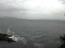 ./images/koeye/fitz-hugh/20150115/fitz-hugh20150115_123303.jpg