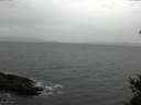 ./images/koeye/fitz-hugh/20150115/fitz-hugh20150115_140303.jpg