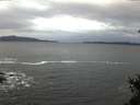 ./images/koeye/fitz-hugh/20150117/fitz-hugh20150117_080301.jpg