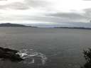 ./images/koeye/fitz-hugh/20150120/fitz-hugh20150120_080303.jpg
