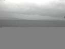 ./images/koeye/fitz-hugh/20150123/fitz-hugh20150123_121803.jpg