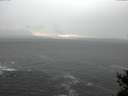 ./images/koeye/fitz-hugh/20150123/fitz-hugh20150123_160302.jpg