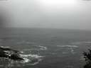 ./images/koeye/fitz-hugh/20150124/fitz-hugh20150124_120303.jpg