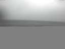 ./images/koeye/fitz-hugh/20150124/fitz-hugh20150124_121802.jpg