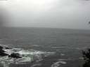 ./images/koeye/fitz-hugh/20150124/fitz-hugh20150124_123302.jpg