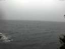 ./images/koeye/fitz-hugh/20150124/fitz-hugh20150124_140302.jpg