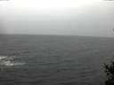 ./images/koeye/fitz-hugh/20150124/fitz-hugh20150124_160303.jpg