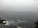 ./images/koeye/fitz-hugh/20150125/fitz-hugh20150125_080302.jpg