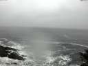 ./images/koeye/fitz-hugh/20150125/fitz-hugh20150125_120301.jpg