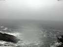 ./images/koeye/fitz-hugh/20150125/fitz-hugh20150125_121803.jpg