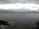 ./images/koeye/fitz-hugh/20150127/fitz-hugh20150127_100009.jpg