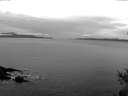 ./images/koeye/fitz-hugh/20150128/fitz-hugh20150128_100003.jpg
