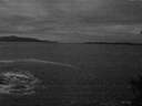 ./images/koeye/fitz-hugh/20150129/fitz-hugh20150129_073303.jpg