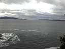 ./images/koeye/fitz-hugh/20150129/fitz-hugh20150129_080009.jpg