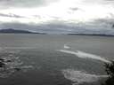 ./images/koeye/fitz-hugh/20150129/fitz-hugh20150129_093302.jpg