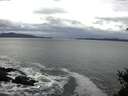 ./images/koeye/fitz-hugh/20150129/fitz-hugh20150129_120008.jpg