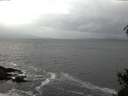 ./images/koeye/fitz-hugh/20150130/fitz-hugh20150130_122103.jpg