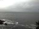 ./images/koeye/fitz-hugh/20150130/fitz-hugh20150130_122402.jpg