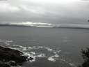 ./images/koeye/fitz-hugh/20150130/fitz-hugh20150130_160005.jpg