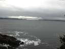 ./images/koeye/fitz-hugh/20150130/fitz-hugh20150130_160302.jpg