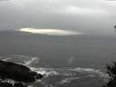 ./images/koeye/fitz-hugh/20150130/fitz-hugh20150130_163302.jpg