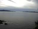 ./images/koeye/fitz-hugh/20150131/fitz-hugh20150131_130002.jpg