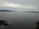 ./images/koeye/fitz-hugh/20150131/fitz-hugh20150131_133301.jpg