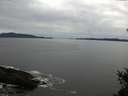 ./images/koeye/fitz-hugh/20150131/fitz-hugh20150131_150302.jpg