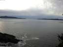 ./images/koeye/fitz-hugh/20150131/fitz-hugh20150131_153007.jpg