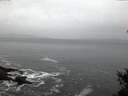 ./images/koeye/fitz-hugh/20150202/fitz-hugh20150202_080006.jpg