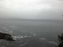 ./images/koeye/fitz-hugh/20150202/fitz-hugh20150202_080301.jpg