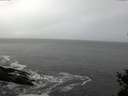 ./images/koeye/fitz-hugh/20150203/fitz-hugh20150203_160302.jpg