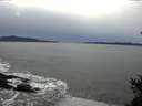 ./images/koeye/fitz-hugh/20150204/fitz-hugh20150204_160301.jpg