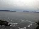 ./images/koeye/fitz-hugh/20150204/fitz-hugh20150204_170302.jpg
