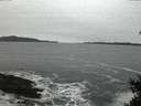 ./images/koeye/fitz-hugh/20150204/fitz-hugh20150204_180303.jpg