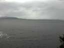 ./images/koeye/fitz-hugh/20150205/fitz-hugh20150205_140303.jpg