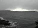 ./images/koeye/fitz-hugh/20150205/fitz-hugh20150205_180303.jpg