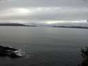 ./images/koeye/fitz-hugh/20150207/fitz-hugh20150207_110302.jpg