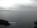 ./images/koeye/fitz-hugh/20150208/fitz-hugh20150208_080302.jpg